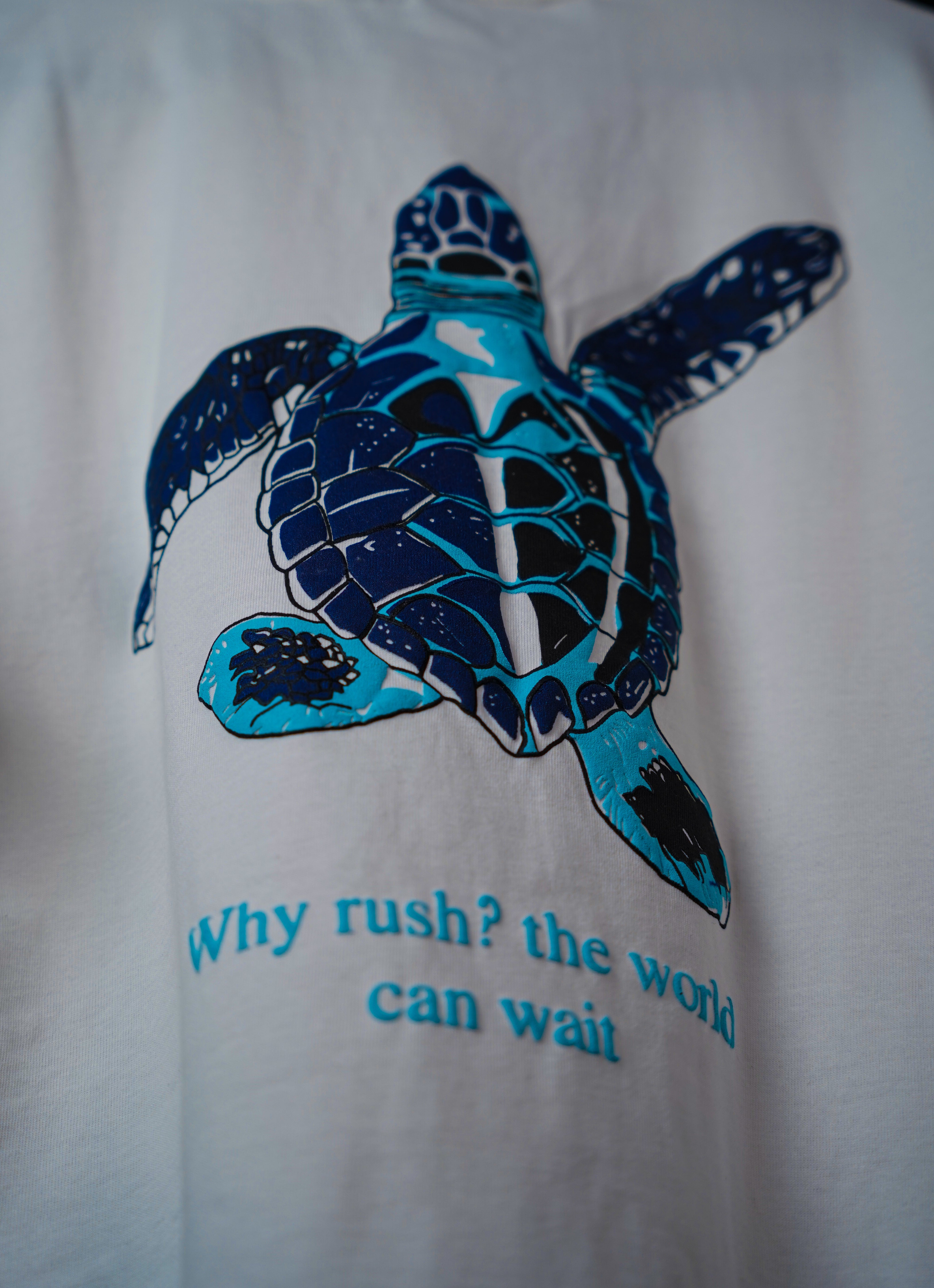 TURTLE DRIFT TEE