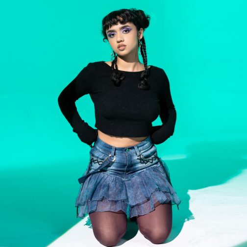 Blueberry Skirt
